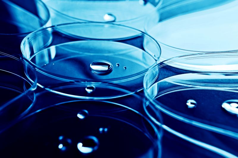 Moderate Preisanpassungen per 1. Januar 2025: Verlässlichkeit und Qualität im Fokus Image